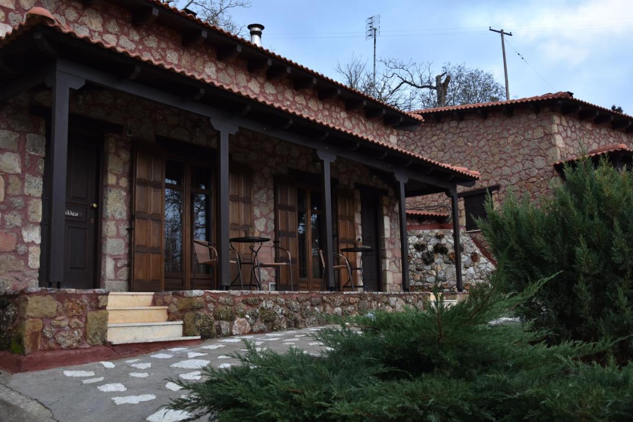 Paliokastro Guesthouse Kato Sinikia Trikalon ภายนอก รูปภาพ